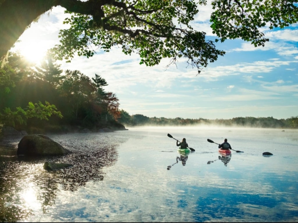Insights into Canadian Tourism Dynamics and Future Growth