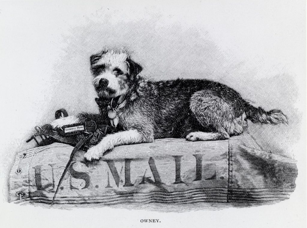 Uncovering the Adventures of Owney the Postal Dog in St. Louis