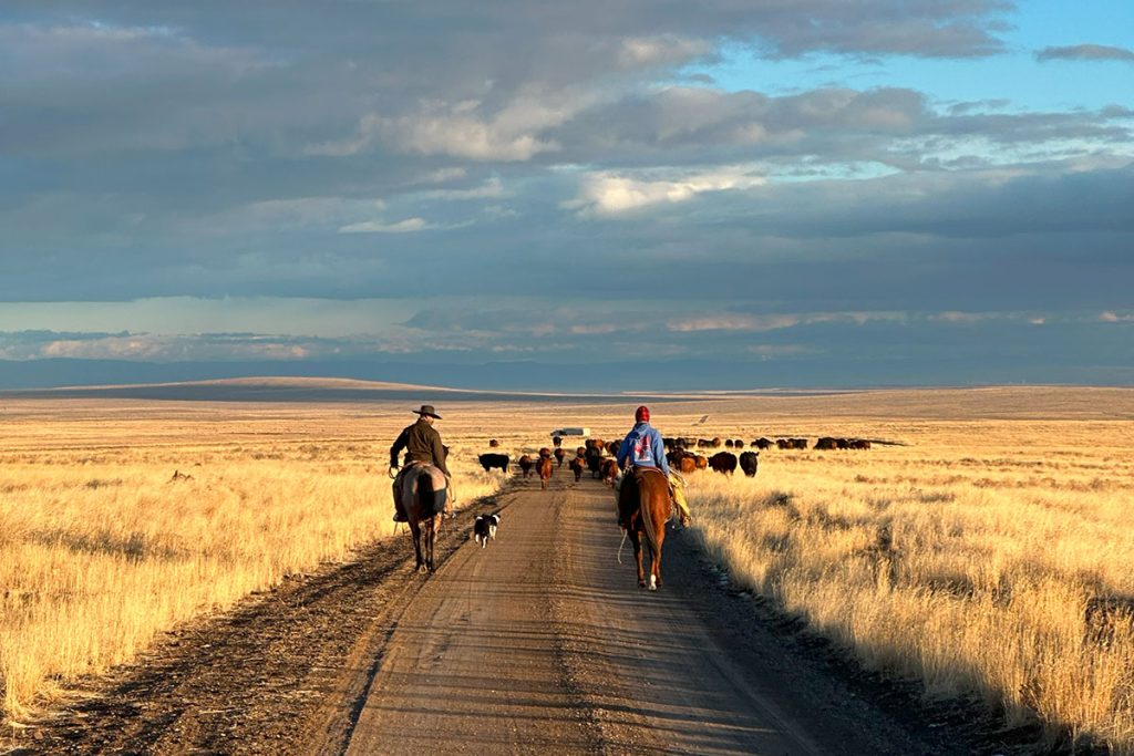 Exploring the Craft Traditions of Idaho’s Family Communities