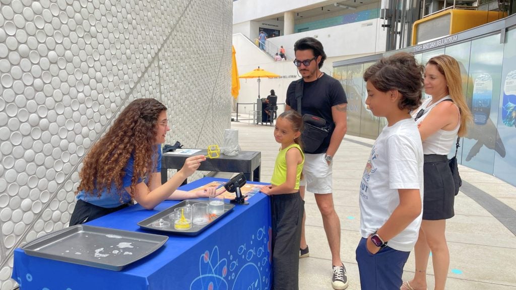 Discover Amazing Summer Events at the Museum