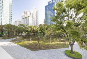 Korean Air’s Green SKYPASS Initiative Revitalizes Urban Green Spaces in Seoul