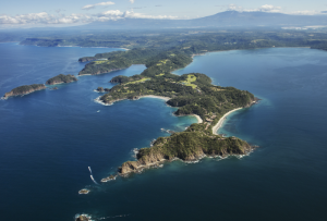 Discover the 2024 Impact Report and Sustainable Legacy of Peninsula Papagayo