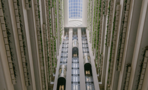 InterContinental Brisbane Marks the Brand’s Entry into Queensland