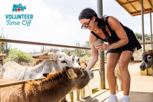 Aruba’s New Voluntourism Initiative: Engaging Travelers with Purpose