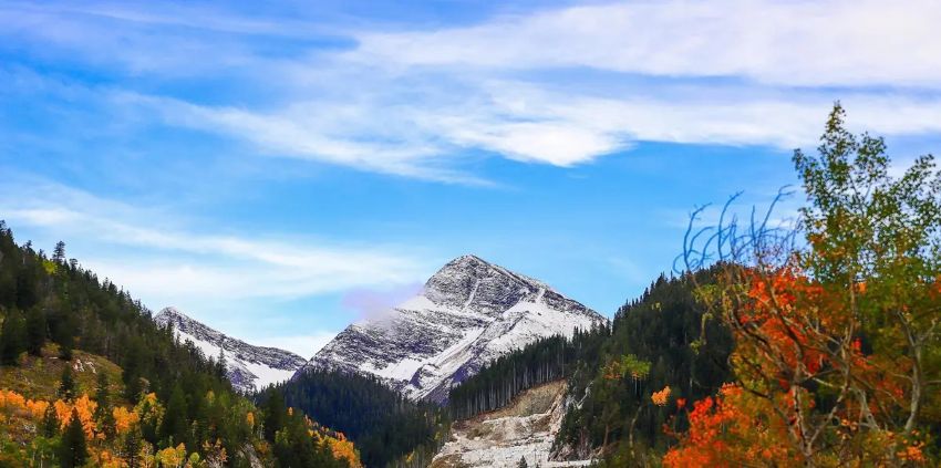 Colorado’s Mountain Towns Confront Declining International Tourism