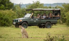 Discover How Modern Luxury African Safaris Are Crafted with Care