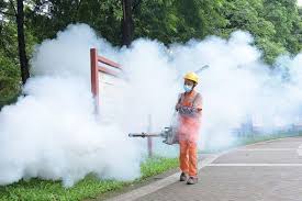 Chikungunya Virus Sends Health Alert for Travelers Returning to the UK