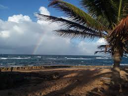 Heartfelt Reflections on a US Tourist’s Unfortunate End in Puerto Rico