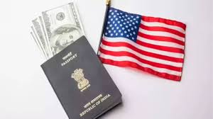 Surge in Visa Applications: Insights from Atlys’ ₹1 Sale