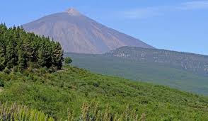 New Measures in Tenerife to Safeguard Tourists from Drug Operations
