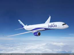 IndiGo Expands Horizons with New International Flights and Services