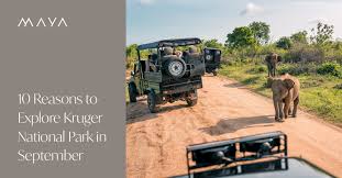 Discovering September in Kruger National Park: A Peak Time for Wildlife Experiences