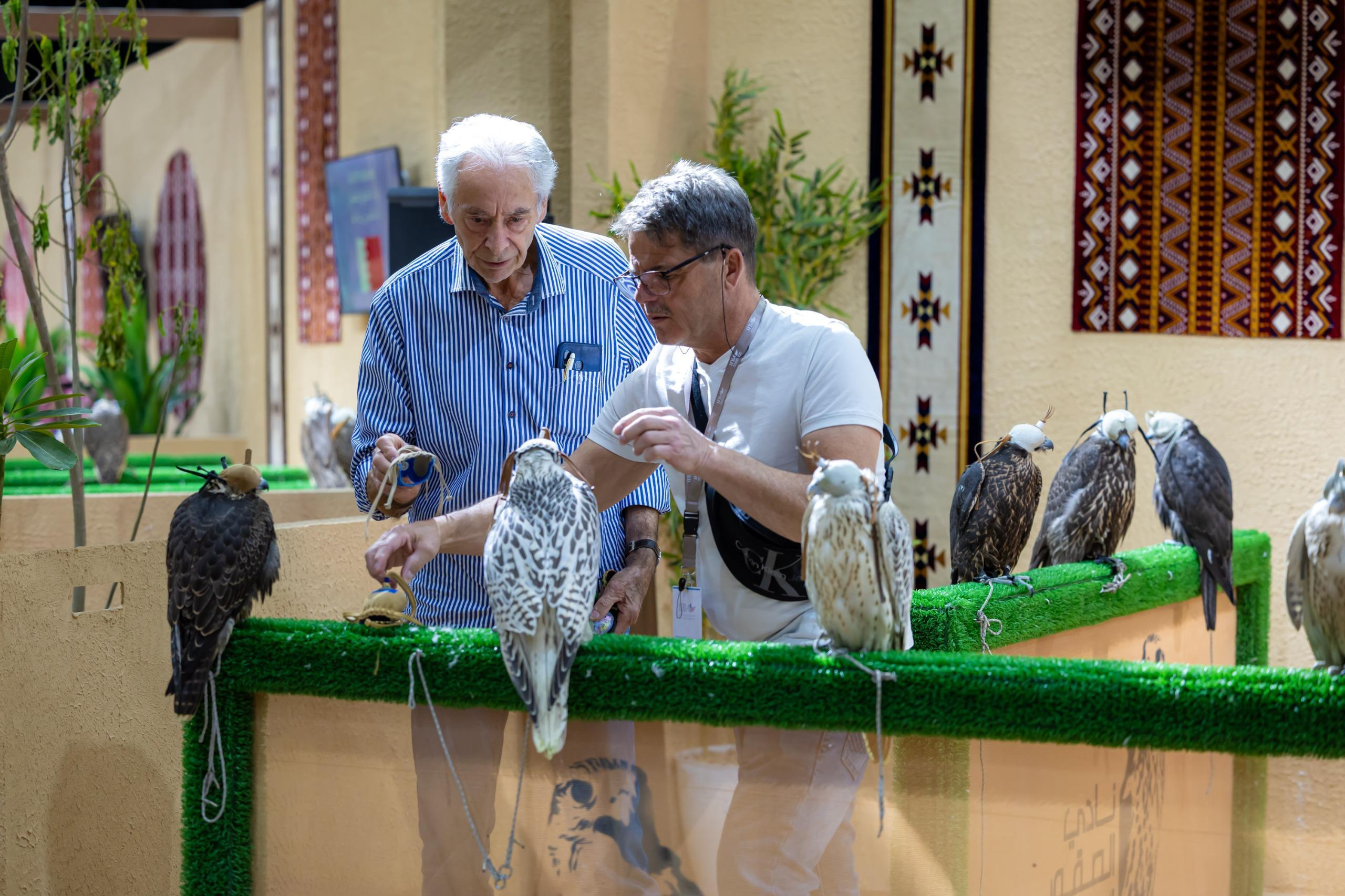 Riyadh’s Falcon Auction: A Spotlight for Global Tourism