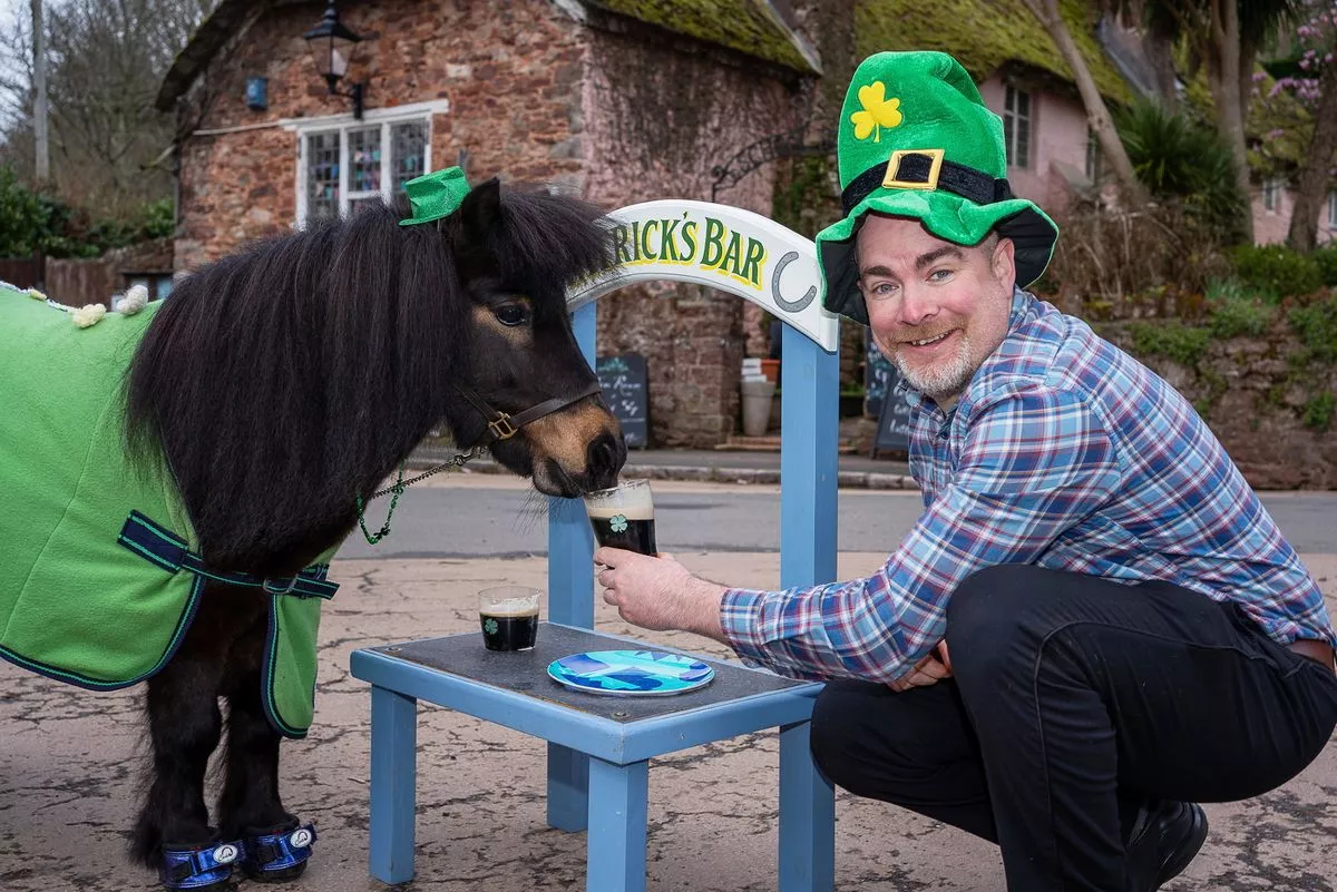 Patrick the Pony’s Epic Journey: From Pub to Popularity in Cockington