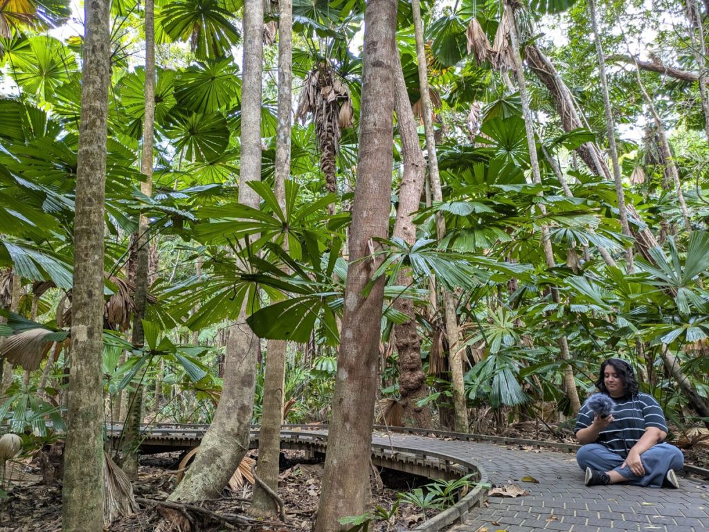 Exploring the Symphony of Sound: A Creative Approach to Nature and Education