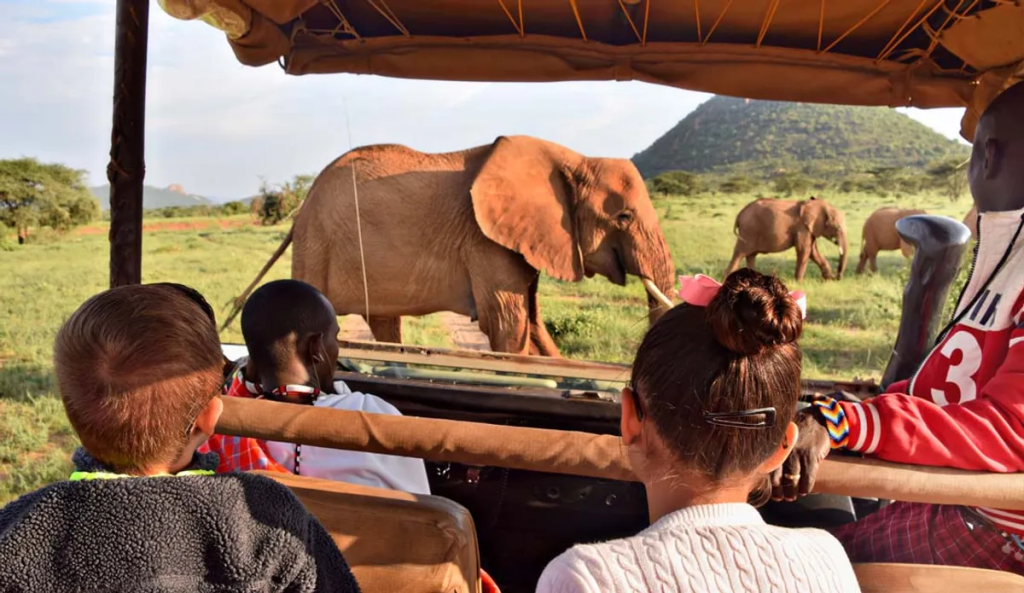 Luxury Safari Demand Soars Following Africa Showcase Australia 2025
