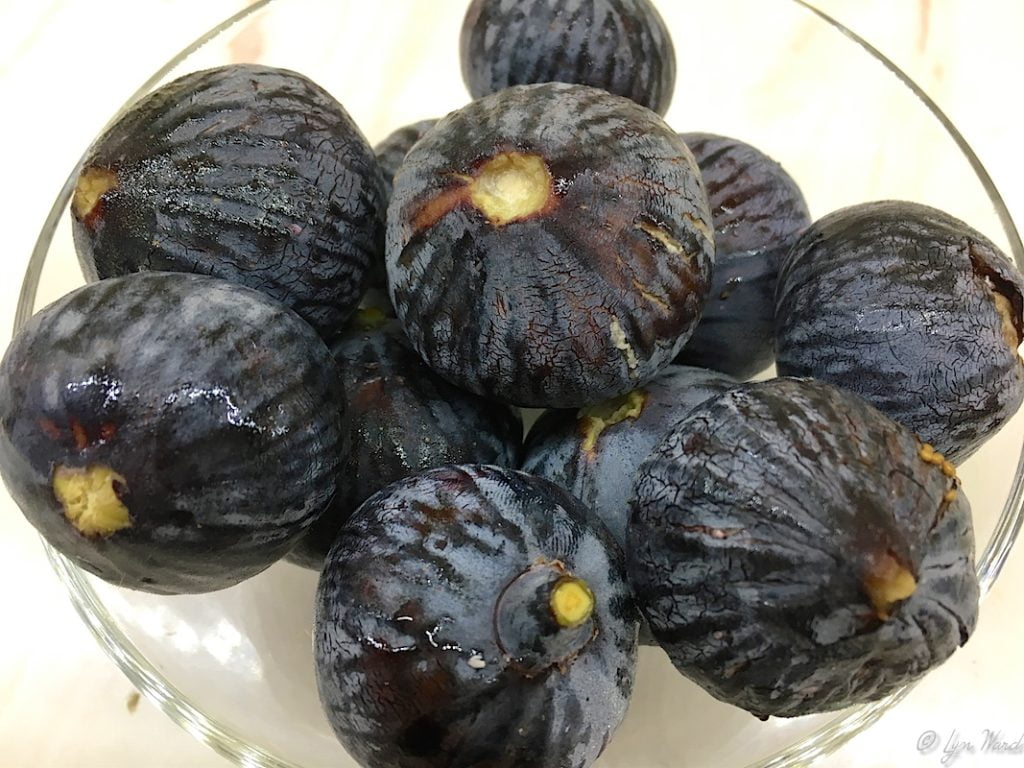 The Incredible World of Figs: A Turkish Delight