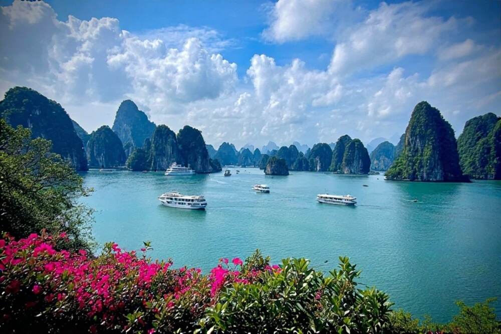 Vietnam’s Tourism Surges Past 12 Million International Visitors, Eyes 25 Million by Year’s End