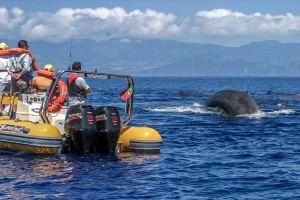 Azores Islands Make Waves with First Fully Electric Tour Boat