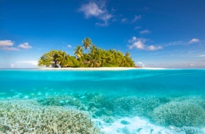 Pioneering Coral Reef Restoration at W Maldives with Mars Sustainable Solutions
