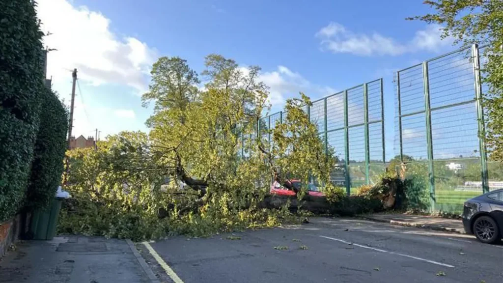 How Strong Winds and Fallen Trees Impact Travel in South East England