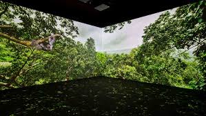 Unveiling the Journey Through Art, Science, and Nature at the Science Museum