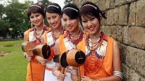 Experience Meghalaya’s Autumn 2025: Six Exciting Festivals Featuring World-Class Artists and Culture