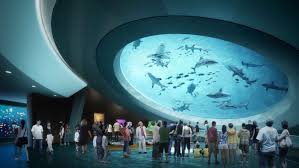 Miami’s Frost Science Museum Celebrates Over Five Million Visitors with an Exciting Event Weekend