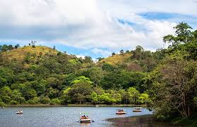 Discover the Enchantment of Wayanad: 5 Must-Visit Attractions