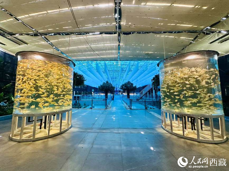 How Green Initiatives are Shaping Tourism Growth in Xizang