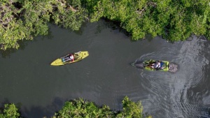 Fort Myers and Its Surrounding Islands: A Must-Visit Destination for Outdoor Lovers