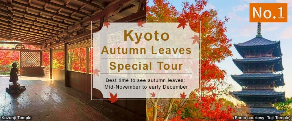 Discover Japan’s Autumn Wonders: Foliage and Relaxation