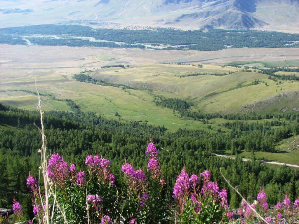 Exploring the Historic Old Austrian Road: From Austrian POWs to a Thrilling Kazakhstan Adventure