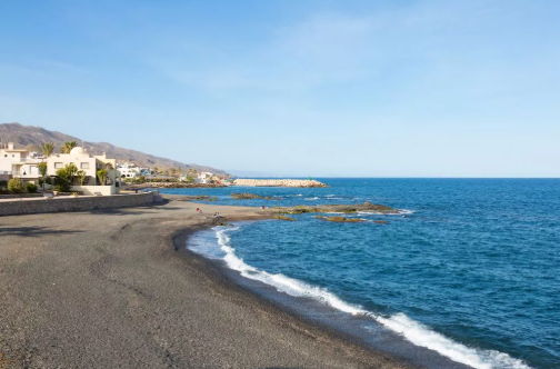 Costa Blanca Beaches Temporarily Closed After Blue Dragon Sea Slug Sightings Raise Safety Concerns