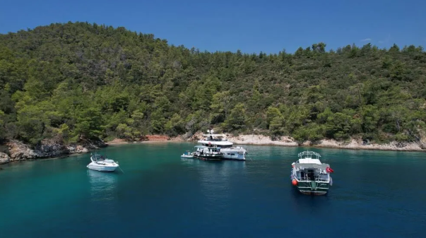 Recent Developments in Fethiye and Muğla: Environmental Initiatives, Wildlife Conservation, and Local Market Insights