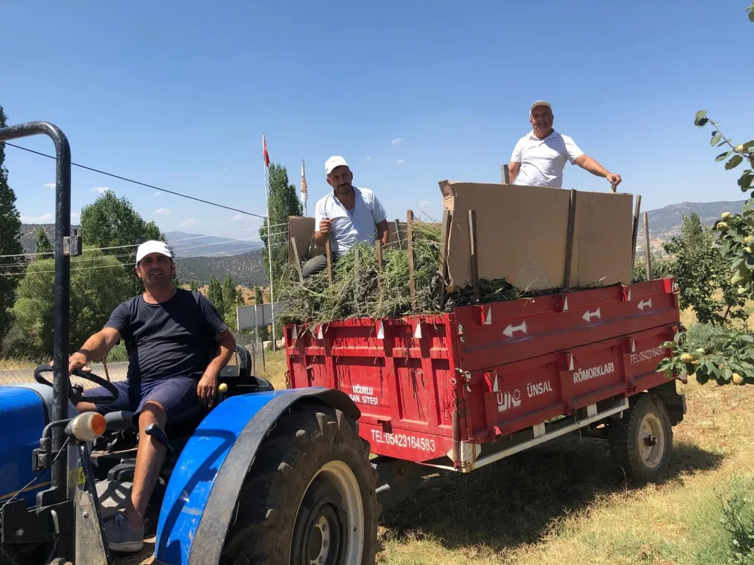 Fethiye Weekly Highlights: A Glimpse of the Past Week