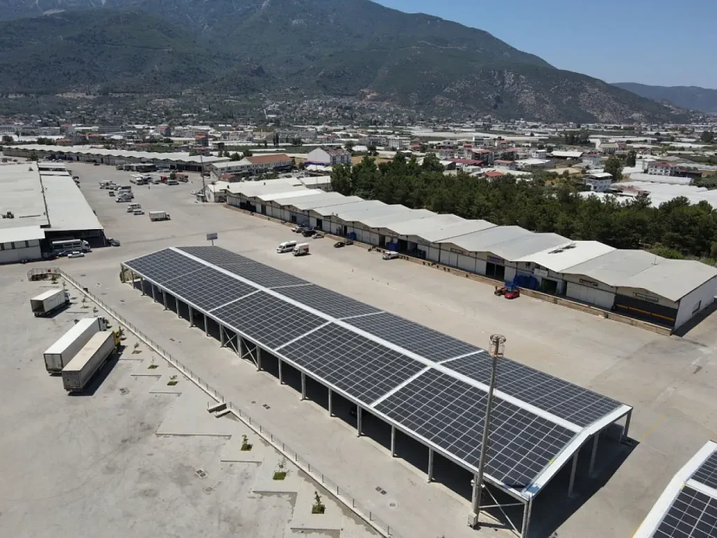 Highlights from Fethiye and Muğla: Emergency Rescues, Sustainable Energy, and Tourist Trends