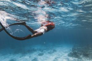 Turismo en las Maldivas en aumento: los premios mundiales impulsan una nueva ola de visitantes