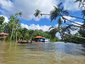 Discover Regenerative Tourism in the Brazilian Amazon During COP30’s Exclusive Experiences