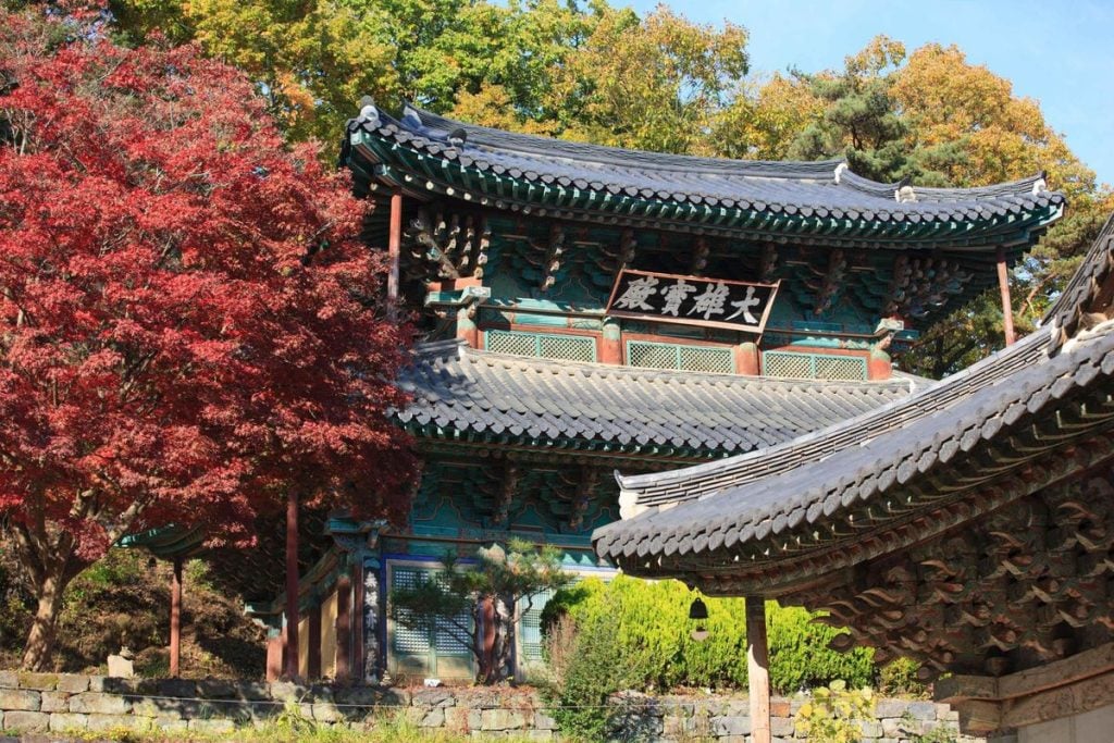 Experience Korea’s Autumn with a Unique Half-Price Templestay Offer