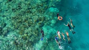 A Look Back on Five Decades of Growth with Tourism Tropical North Queensland