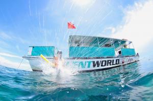 Immerse Yourself in Key Largo’s Iconic Snorkeling Adventure: Christ of the Abyss, Benwood Shipwreck & Molasses Reef