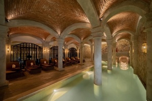 Experience Tranquility and Nature at Elysium Spa & Wellness House in Panama’s El Valle de Antón