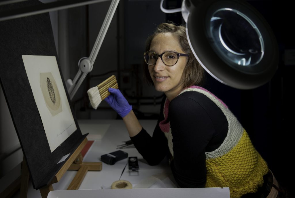 Peeling Back the Curtain on Conservators’ Work: Tools, Skills, and Daily Duties Explained