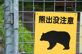 Utazási biztonság a növekvő medveaktivitás közepette Japán festői északi területein