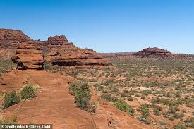 Outback du centre de l'Australie : Recherche d'un couple disparu près du parc national de Finke Gorge