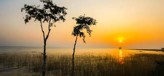 Boosting Eco-Tourism Through Community Upskilling at Debrigarh Wildlife Sanctuary, Odisha
