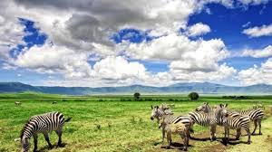 Innovative Tourism Packages Aim to Boost Ngorongoro’s Year-End Revenue Target to Sh350 Billion