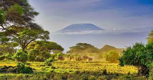 Rethinking Luxury Travel Through Sustainability, Personal Touch, and Hidden Destinations