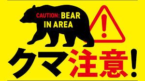 Forte augmentation de l'activité des ours dans les zones montagneuses du Japon : les voyageurs appelés à la prudence